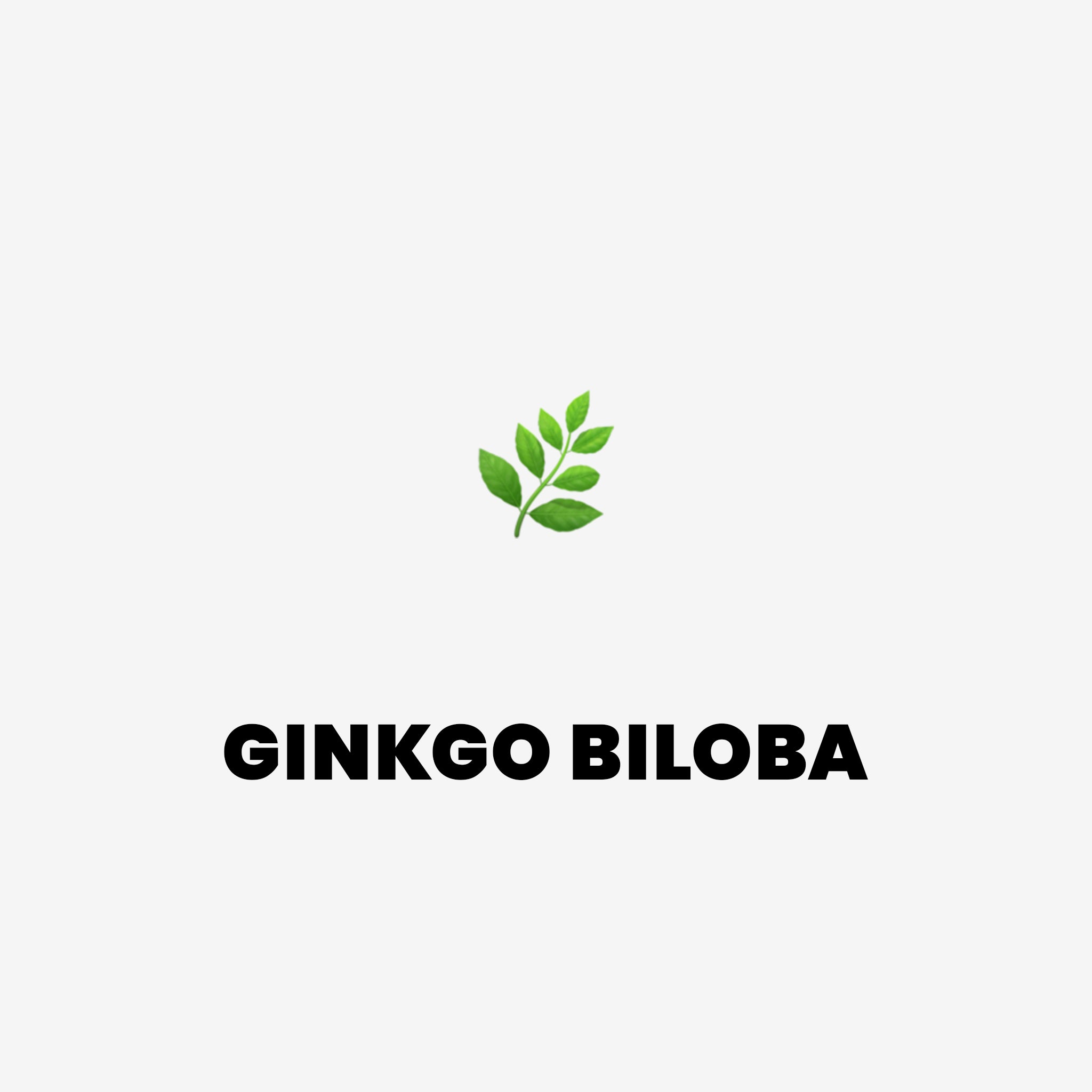Ginkgo biloba, adaptogen, který podpoří nejen tvůj mozek.