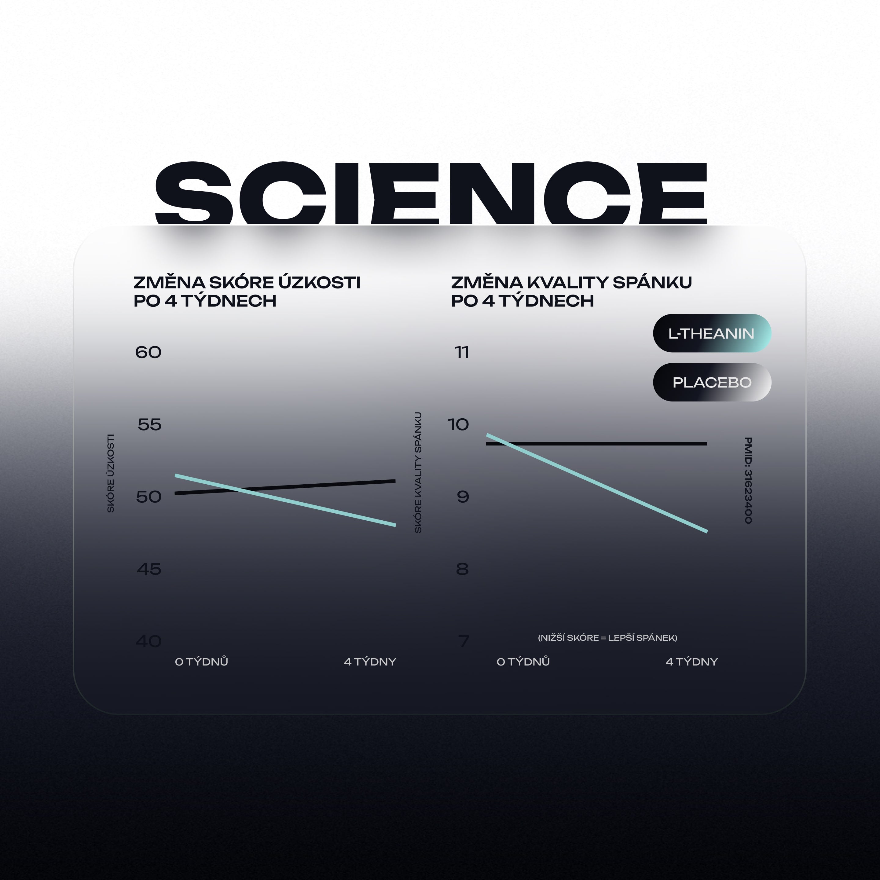 Complex Natural L-Theanine