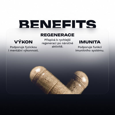 Complex Essentials Multivitamin