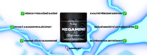 MegaMind